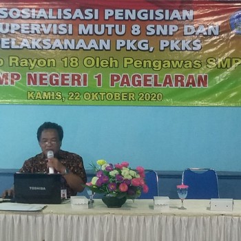 SOSIALISASI PENGISIAN e-SUPERVISI MUTU 8 SNP, PELAKSANAAN PK